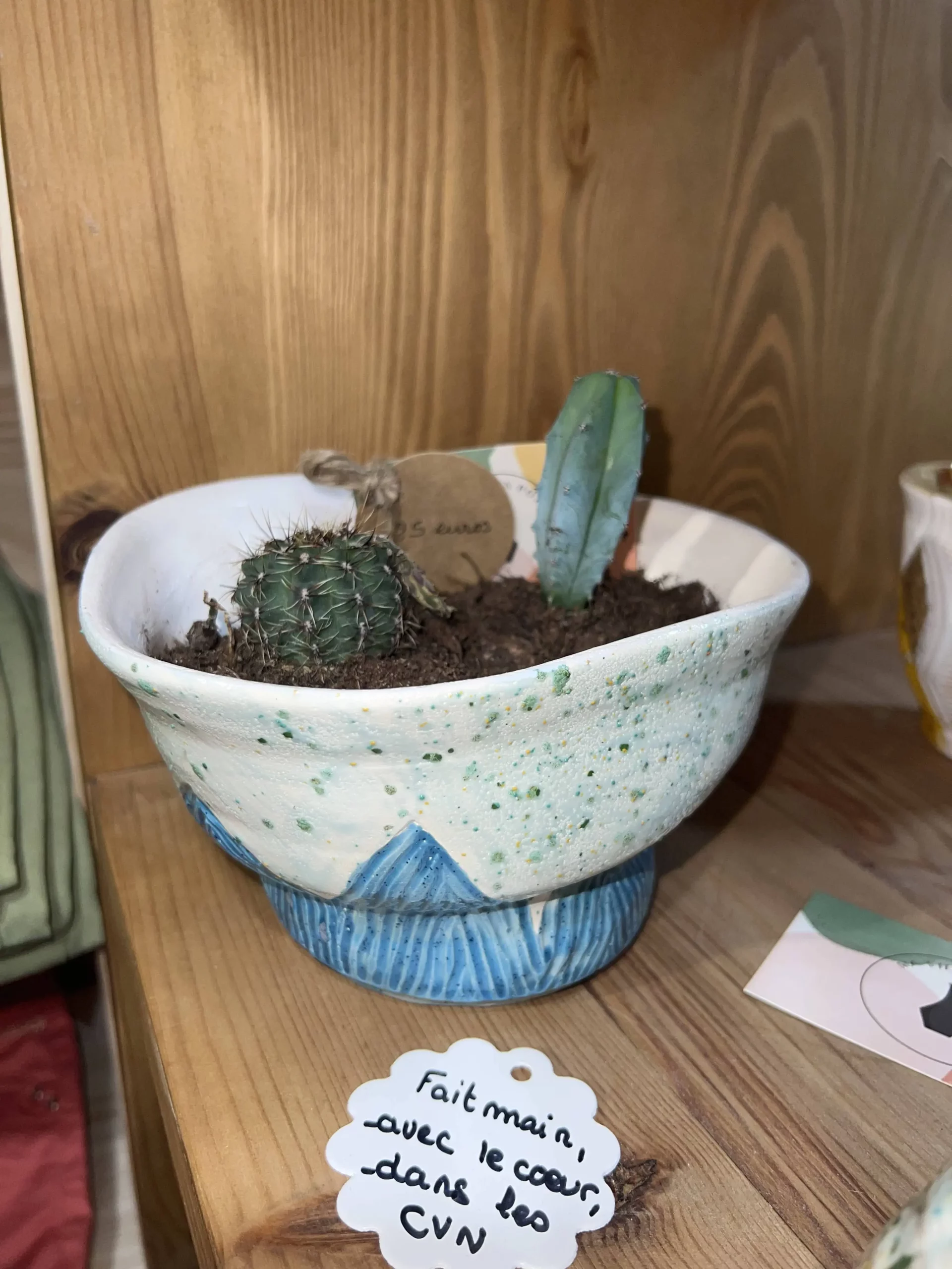 Pot de fleurs habill de deux cactus - IPSWAY